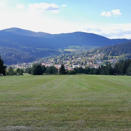 Apartman Zelezna Ruda Bagian luar foto
